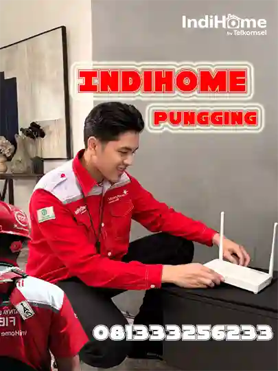 IndiHome Pungging